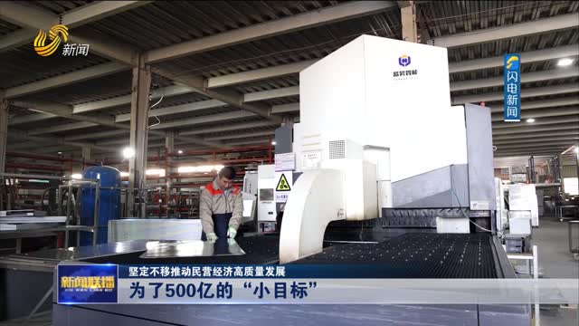 为了500亿的“小目标”【坚定不移推动民营经济高质量发展】