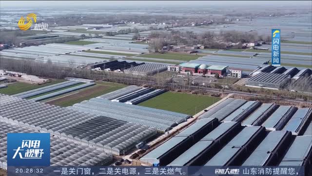 【探索乡村振兴聊城路径】看“中国蔬菜第一县”蔬菜大棚的华丽蜕变