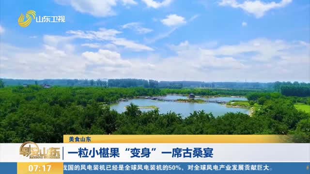 【美食山东】一粒小椹果“变身”一席古桑宴