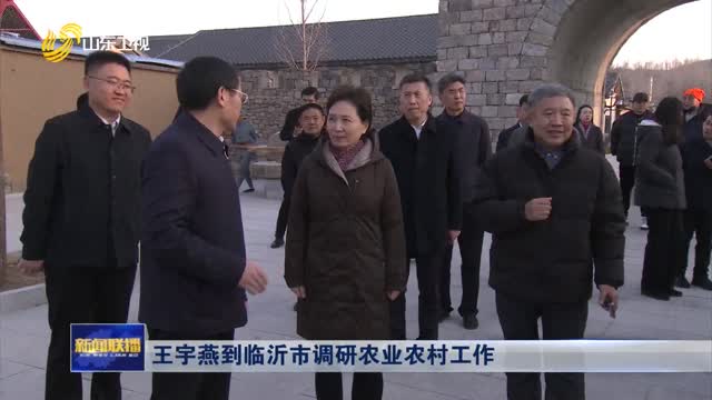 王宇燕到临沂市调研农业农村工作
