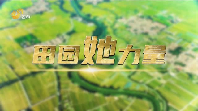 【田園“她”力量】不干“高管”去種地 王淑芬不走尋常路