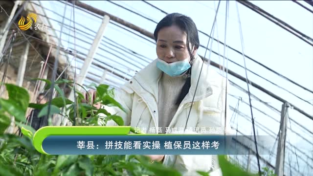 莘縣：拼技能看實(shí)操 植保員這樣考