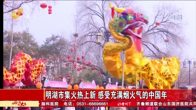 明湖市集火热上新 感受充满烟火气的中国年
