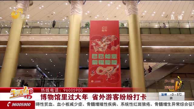 博物馆里过大年 省外游客纷纷打卡