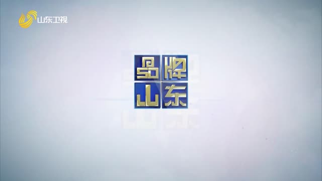 2025年02月02日《品牌山东》完整版