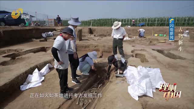 20250202《理响中国》：古物新生