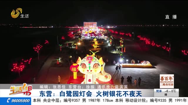 东营：白鹭园灯会 火树银花不夜天
