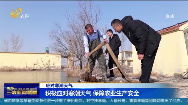 【应对寒潮天气】积极应对寒潮天气 保障农业生产安全