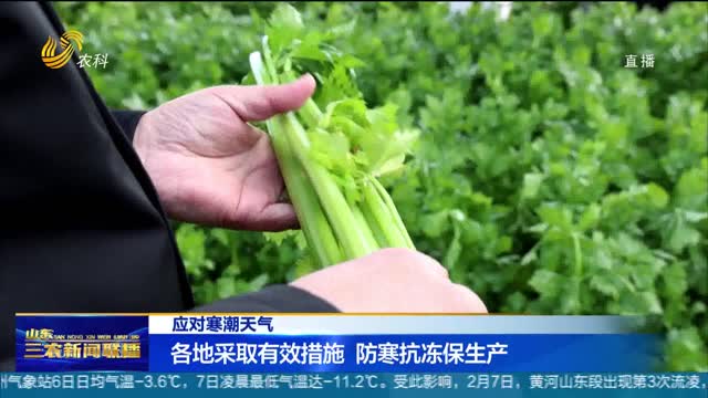 【应对寒潮天气】各地采取有效措施 防寒抗冻保生产