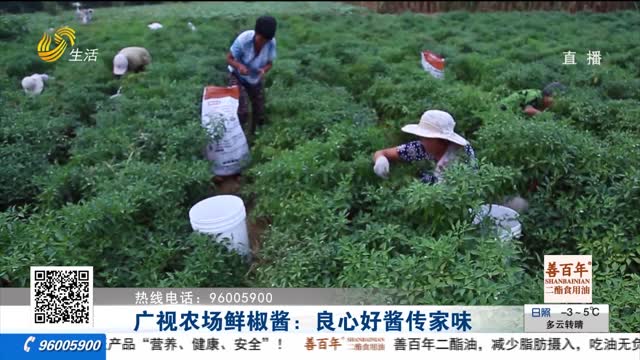 广视农场鲜椒酱：良心好酱传家味