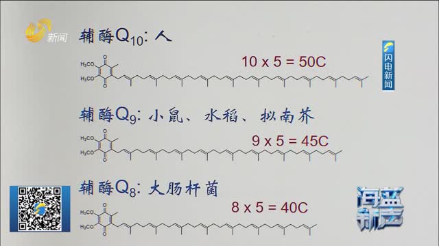 【海蓝新声】AI辅助育种成功 我国科学家联合创制辅酶Q10水稻新种质
