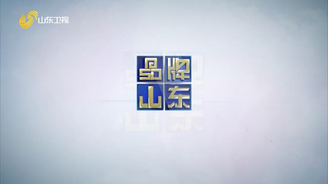 2025年02月23日《品牌山东》完整版