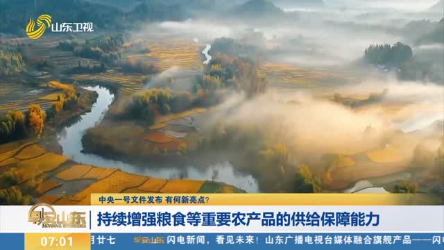 【中央一号文件发布 有何新亮点？】持续增强粮食等重要农产品的供给保障能力