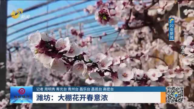 潍坊：大棚花开春意浓