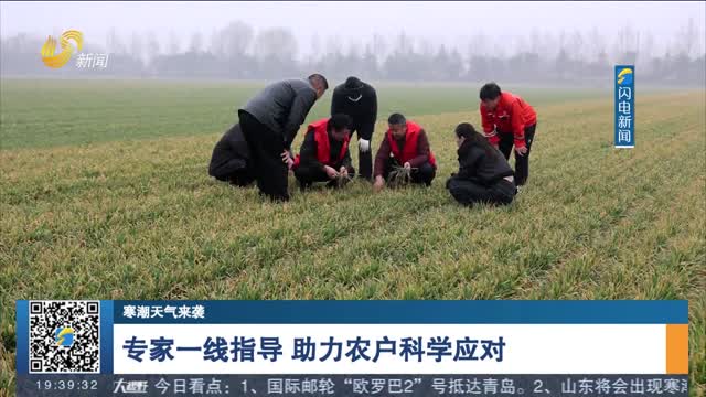 【寒潮天气来袭】专家一线指导 助力农户科学应对