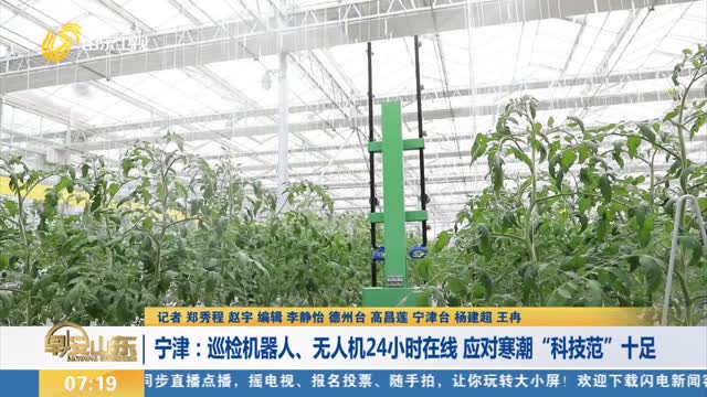 【应对寒潮雨雪天气】宁津：巡检机器人、无人机24小时在线 应对寒潮“科技范”十足