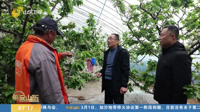 【应对寒潮雨雪天气】潍坊昌邑：农技专家田间支招 保障农业生产平稳有序开展