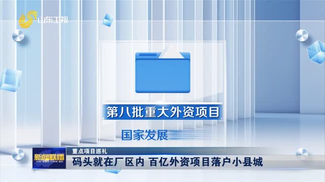 码头就在厂区内 百亿外资项目落户小县城【重点项目巡礼】