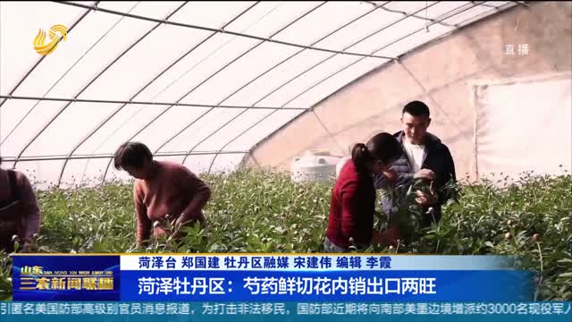 【稳经济 促发展】菏泽牡丹区：芍药鲜切花内销出口两旺