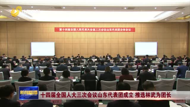 十四届全国人大三次会议山东代表团成立 推选林武为团长