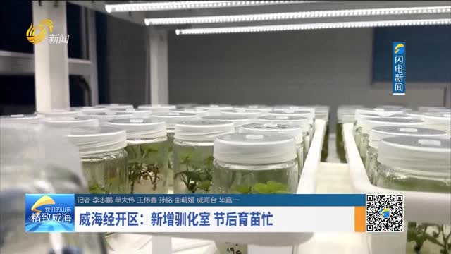 威海经开区：新增驯化室 节后育苗忙