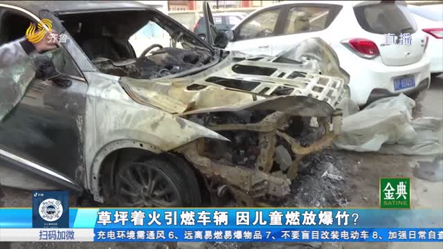 草坪着火引燃汽车 阳光车险拒绝“代位追偿”？