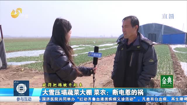 斷電導致大雪壓塌蔬菜大棚 誰該承擔賠償責任？