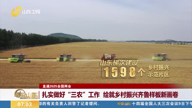【直通2025全国两会】扎实做好“三农”工作 绘就乡村振兴齐鲁样板新画卷