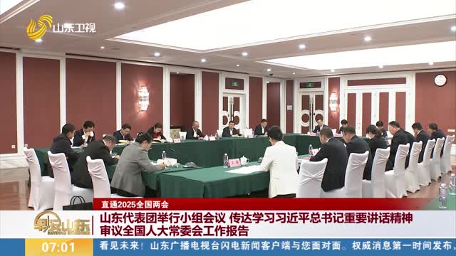 【直通2025全国两会】山东代表团举行小组会议 传达学习习近平总书记重要讲话精神 审议全国人大常委会工作报告