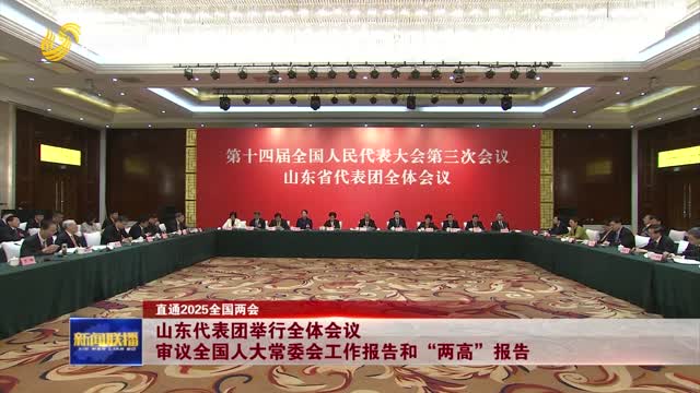 山东代表团举行全体会议 审议全国人大常委会工作报告和“两高”报告【直通2025全国两会】