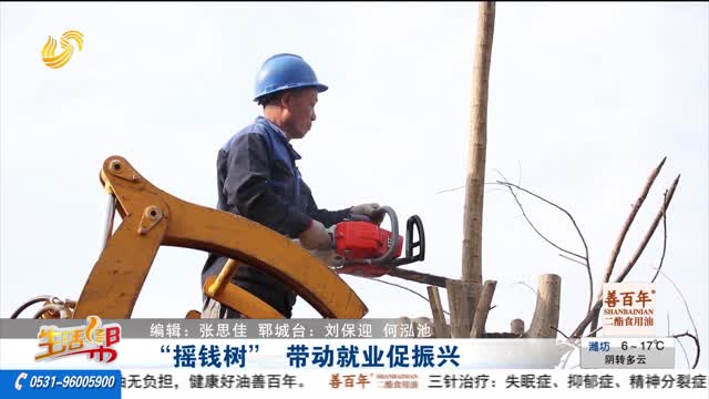 “摇钱树” 带动就业促振兴