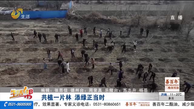 共植一片林 添绿正当时