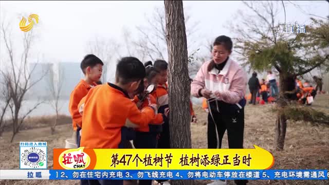 第47个植树节 植树添绿正当时