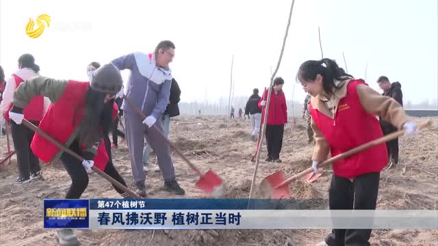 春风拂沃野 植树正当时【第47个植树节】