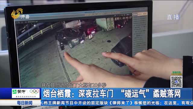 烟台栖霞：深夜拉车门 “碰运气”蟊贼落网