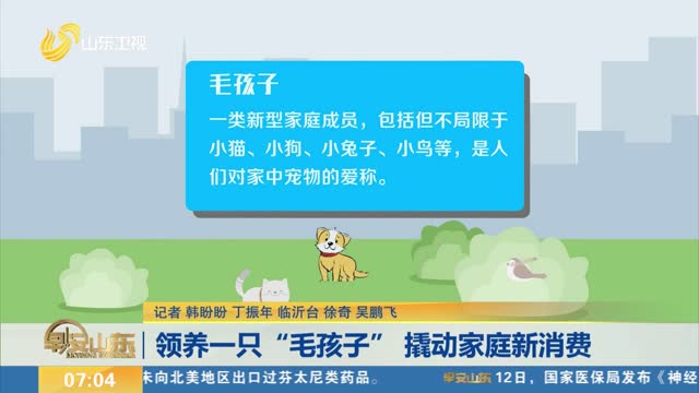 领养一只“毛孩子” 撬动家庭新消费