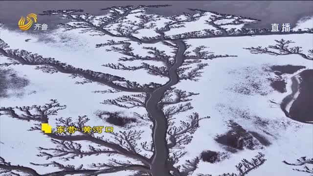 大美齐鲁