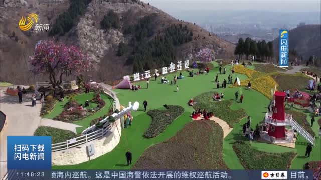 【畅游齐鲁 乐Go山东】淄博：38万株绚烂花海“上线” 邀您解锁唯美“春日限定”