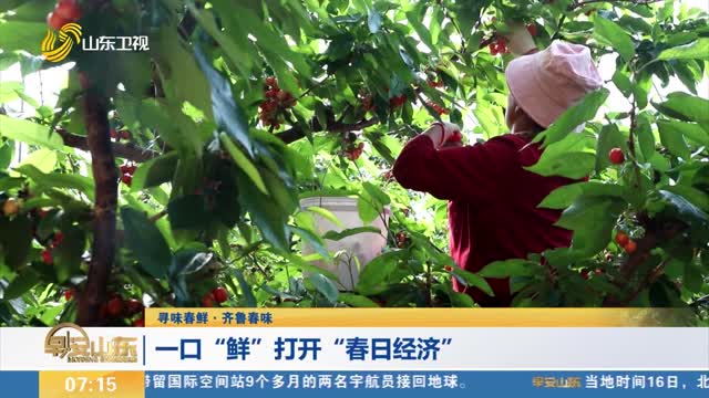 【寻味春鲜·齐鲁春味】一口“鲜”打开“春日经济”