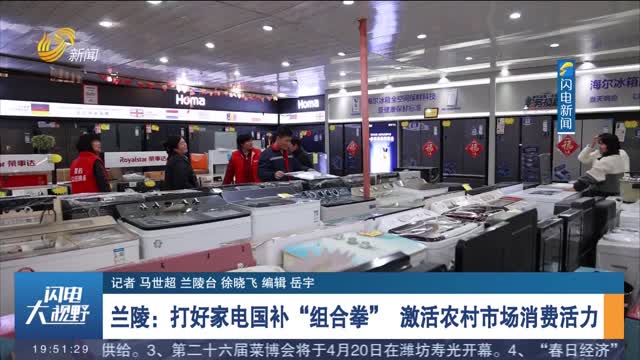 兰陵：打好家电国补“组合拳” 激活农村市场消费活力