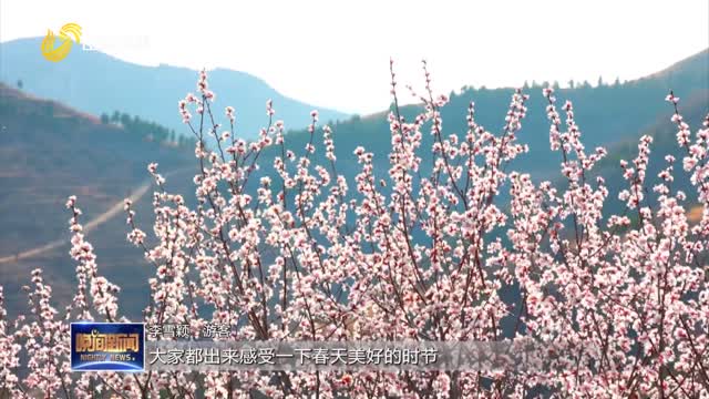 【踏青出游正当时】赏花拾趣 解锁春日限定浪漫