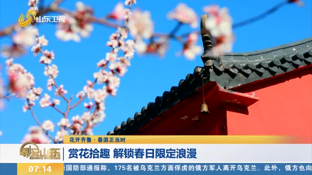 【花开齐鲁·春游正当时】赏花拾趣 解锁春日限定浪漫