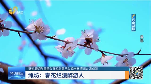 潍坊：春花烂漫醉游人