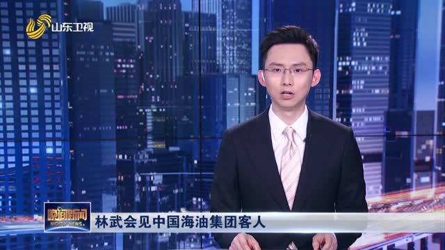 林武会见中国海油集团客人