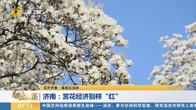 【花开齐鲁·春游正当时】济南：赏花经济别样“红”