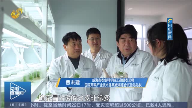 威海临港区：科技赋农 打造智慧农业新标杆
