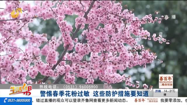 警惕春季花粉过敏 这些防护措施要知道