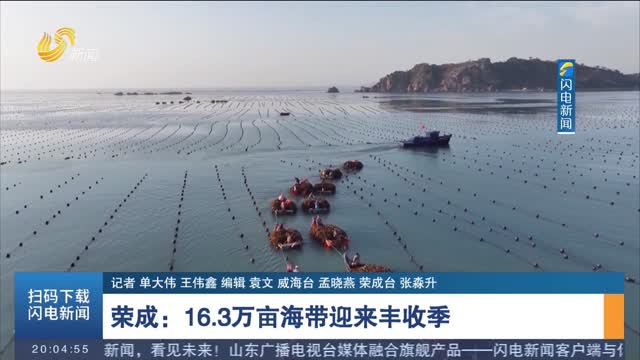 荣成：16.3万亩海带迎来丰收季