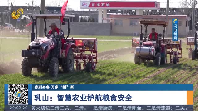 【春到齐鲁 万象“耕”新】乳山：智慧农业护航粮食安全