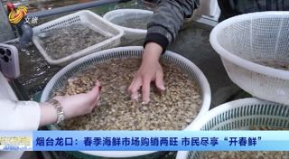 烟台龙口：春季海鲜市场购销两旺 市民尽享“开春鲜”